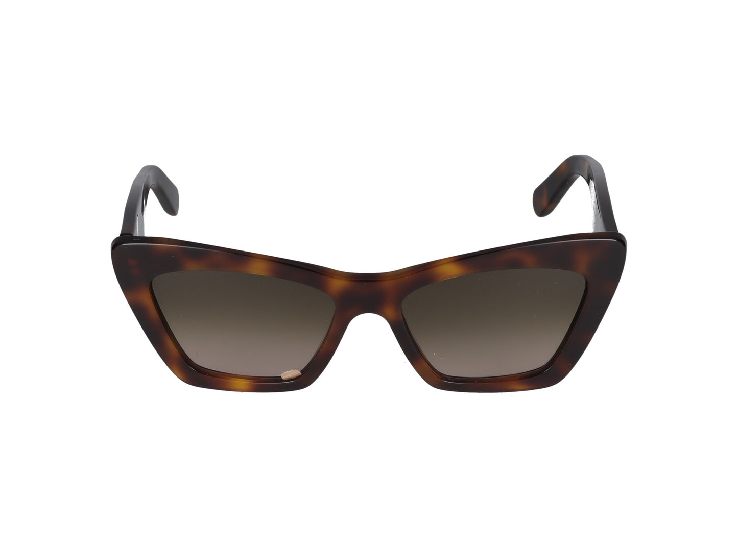 SF929SN SF929SN 219 BROWN TORTOISE 55.00 / 219 BROWN TORTOISE